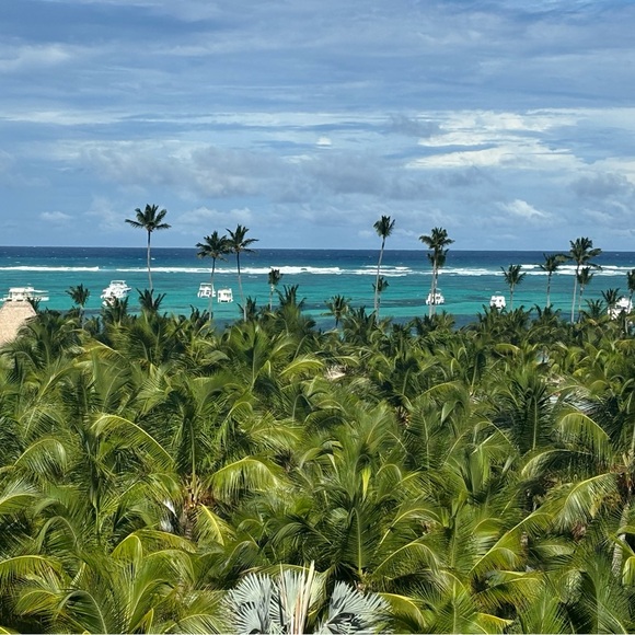 Meet your Posher, Mindy - Picture 1 of 1